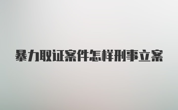 暴力取证案件怎样刑事立案