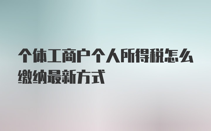 个体工商户个人所得税怎么缴纳最新方式