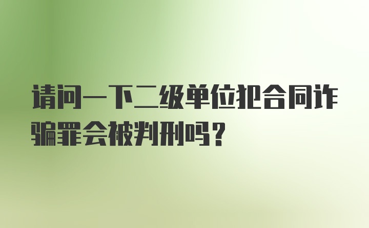 请问一下二级单位犯合同诈骗罪会被判刑吗？