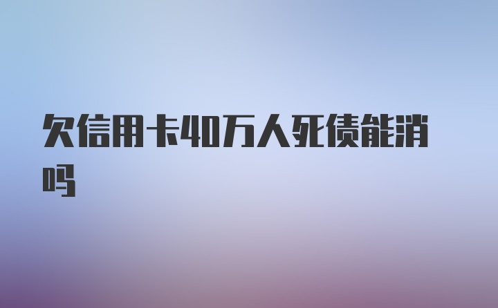 欠信用卡40万人死债能消吗