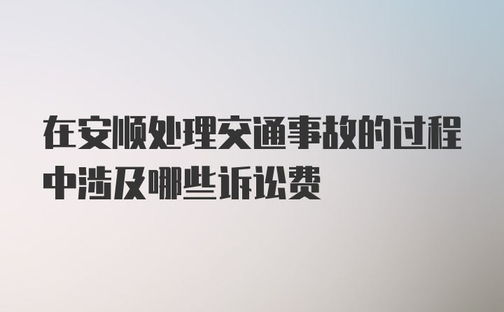 在安顺处理交通事故的过程中涉及哪些诉讼费