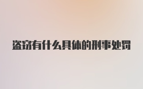 盗窃有什么具体的刑事处罚