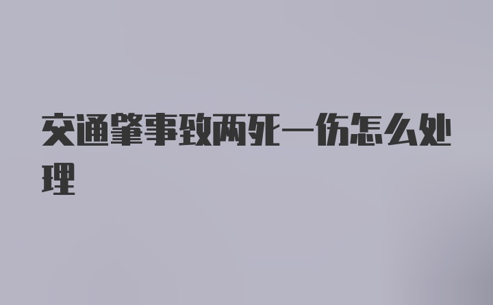 交通肇事致两死一伤怎么处理