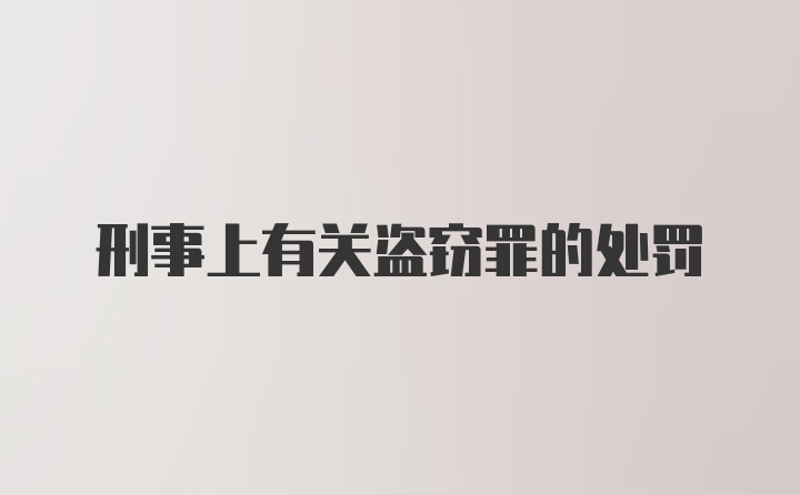 刑事上有关盗窃罪的处罚