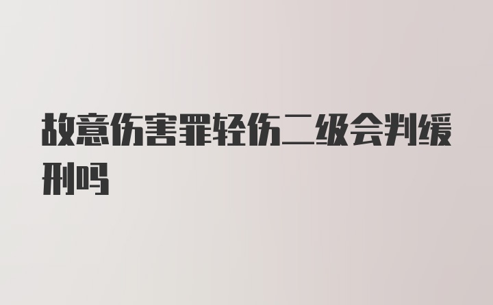 故意伤害罪轻伤二级会判缓刑吗