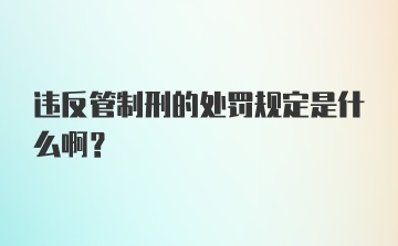 违反管制刑的处罚规定是什么啊？