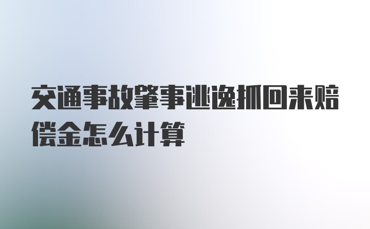 交通事故肇事逃逸抓回来赔偿金怎么计算