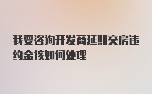 我要咨询开发商延期交房违约金该如何处理