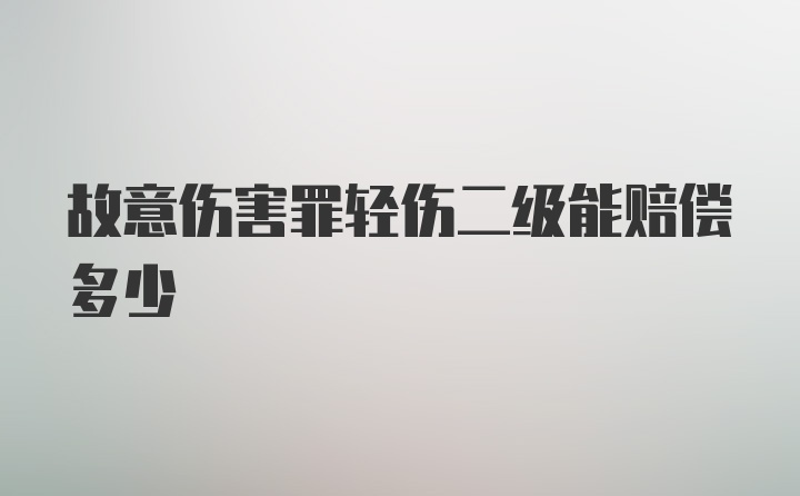 故意伤害罪轻伤二级能赔偿多少