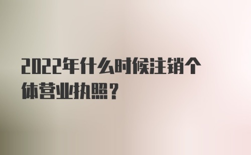 2022年什么时候注销个体营业执照？