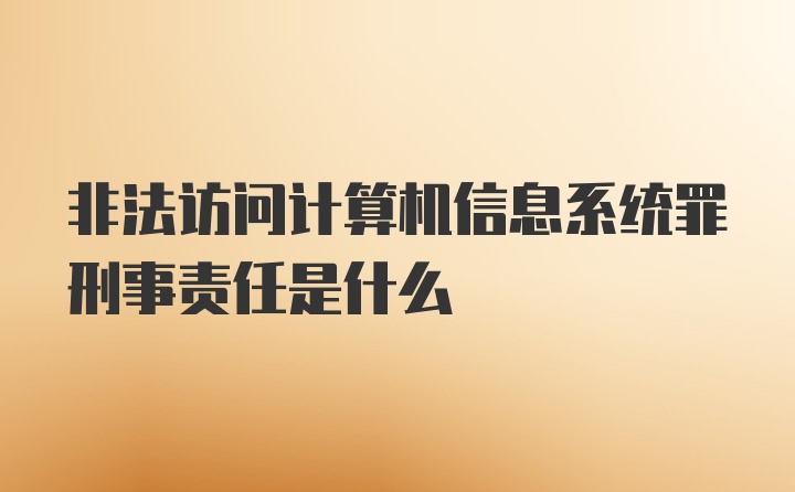 非法访问计算机信息系统罪刑事责任是什么