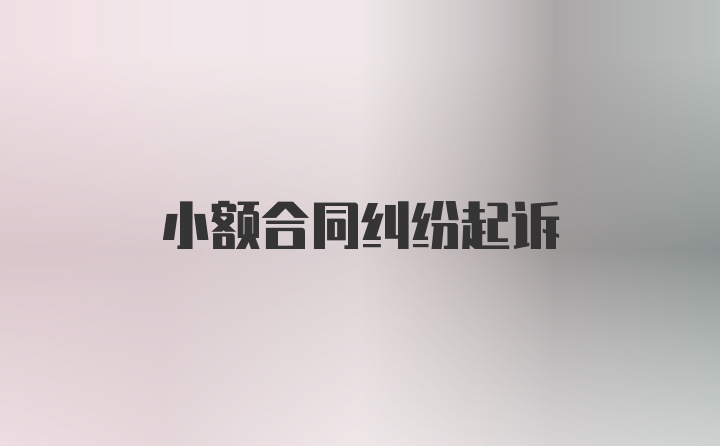 小额合同纠纷起诉