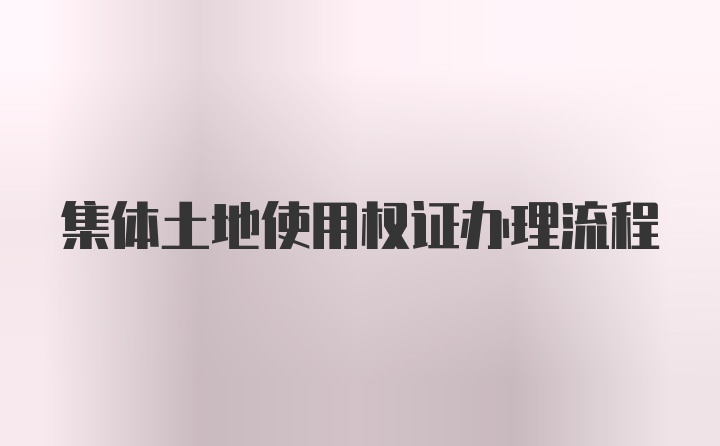 集体土地使用权证办理流程