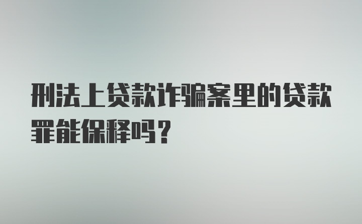 刑法上贷款诈骗案里的贷款罪能保释吗?