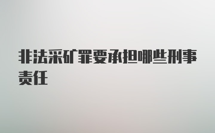 非法采矿罪要承担哪些刑事责任