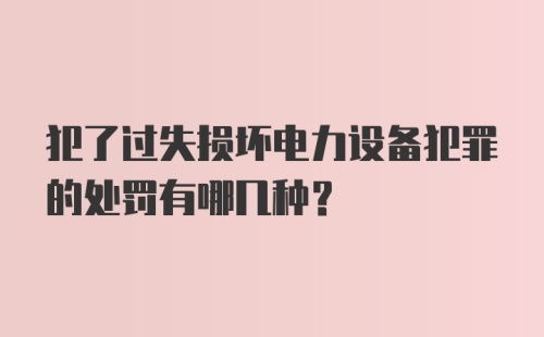 犯了过失损坏电力设备犯罪的处罚有哪几种？