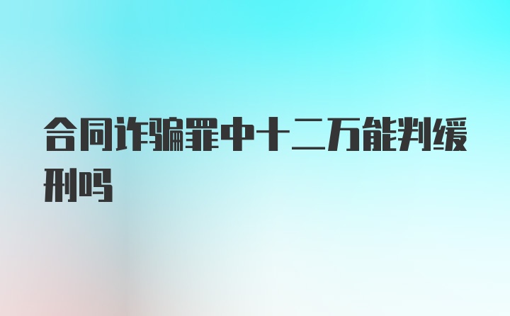 合同诈骗罪中十二万能判缓刑吗