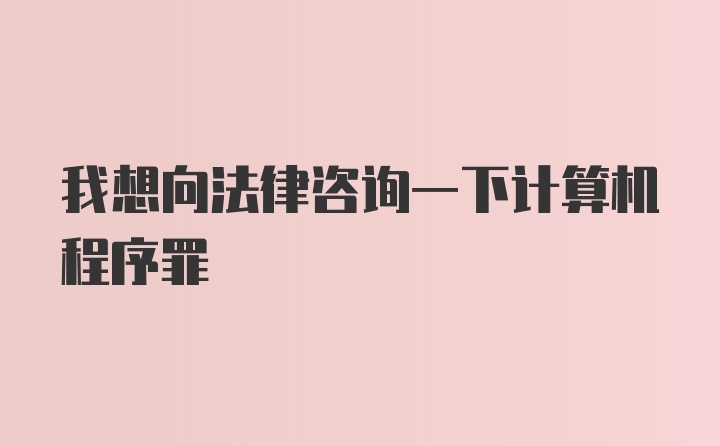 我想向法律咨询一下计算机程序罪