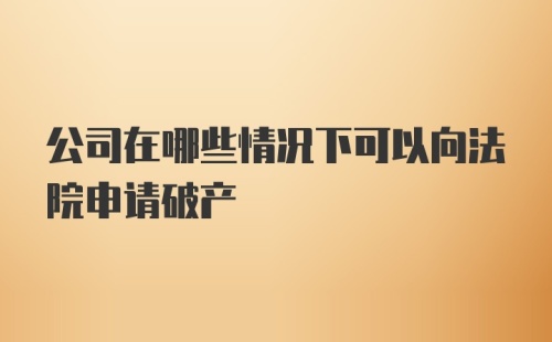 公司在哪些情况下可以向法院申请破产