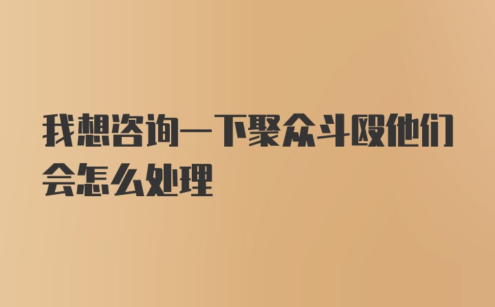 我想咨询一下聚众斗殴他们会怎么处理