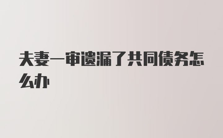 夫妻一审遗漏了共同债务怎么办