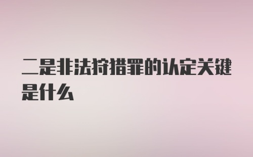 二是非法狩猎罪的认定关键是什么