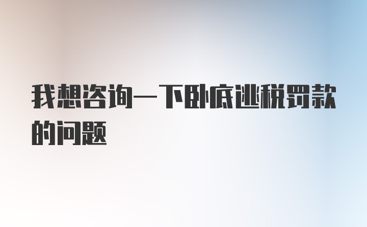 我想咨询一下卧底逃税罚款的问题