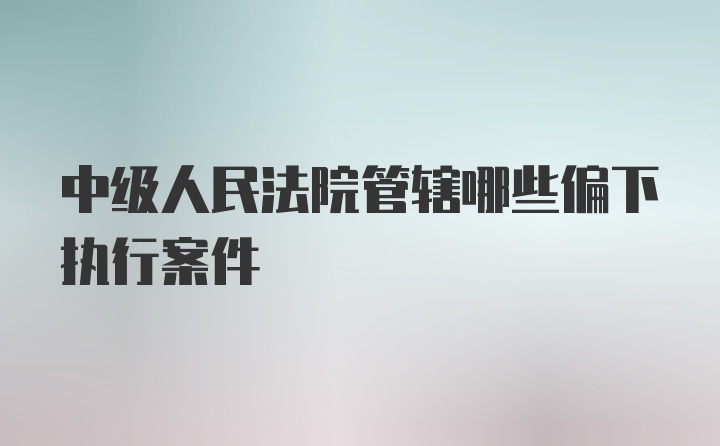 中级人民法院管辖哪些偏下执行案件