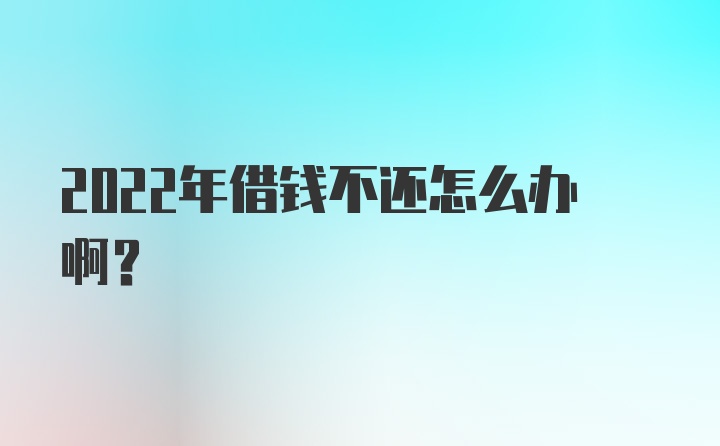 2022年借钱不还怎么办啊？