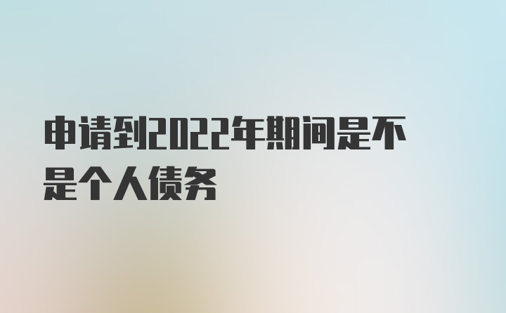 申请到2022年期间是不是个人债务