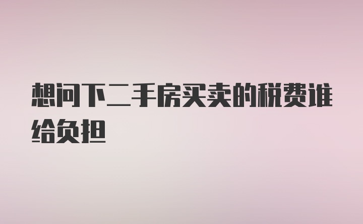 想问下二手房买卖的税费谁给负担