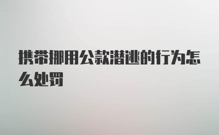 携带挪用公款潜逃的行为怎么处罚