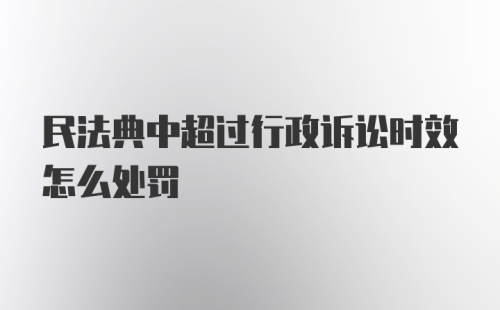 民法典中超过行政诉讼时效怎么处罚