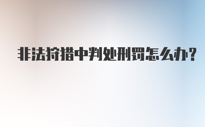 非法狩猎中判处刑罚怎么办？