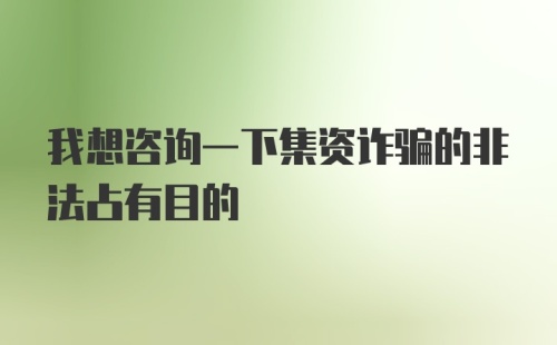 我想咨询一下集资诈骗的非法占有目的