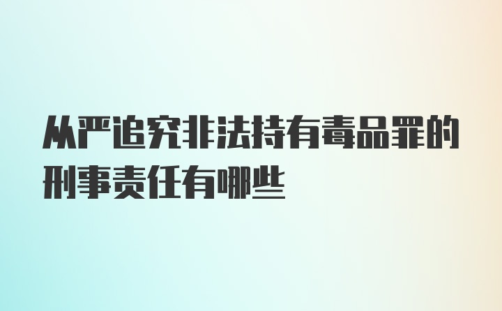 从严追究非法持有毒品罪的刑事责任有哪些