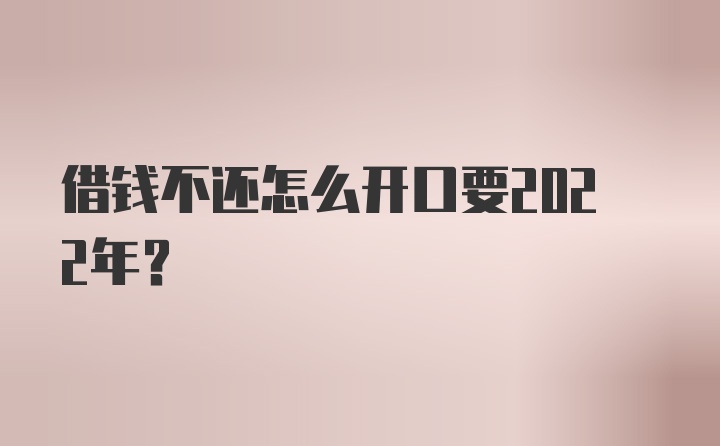 借钱不还怎么开口要2022年?