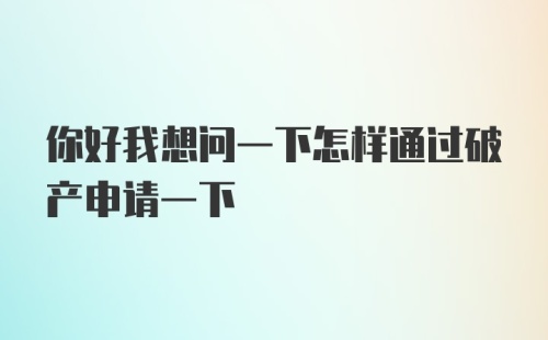 你好我想问一下怎样通过破产申请一下