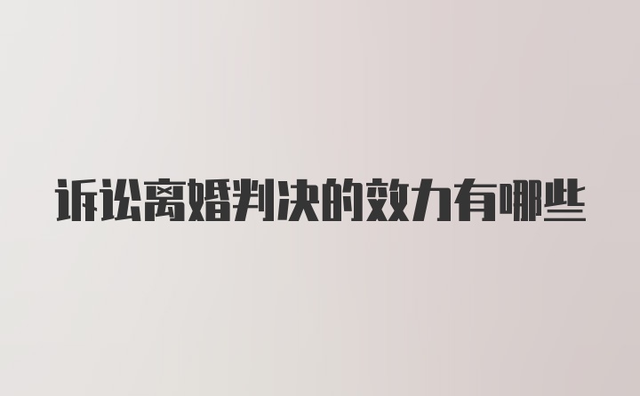 诉讼离婚判决的效力有哪些