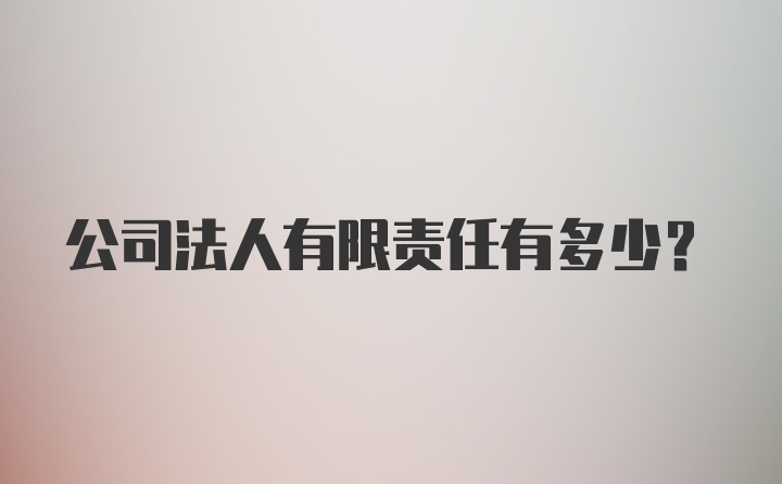 公司法人有限责任有多少？