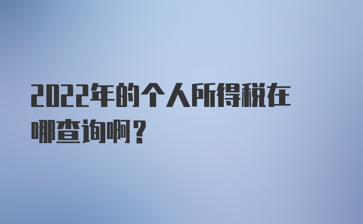 2022年的个人所得税在哪查询啊？