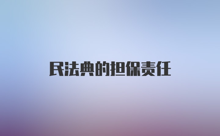 民法典的担保责任