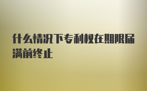 什么情况下专利权在期限届满前终止