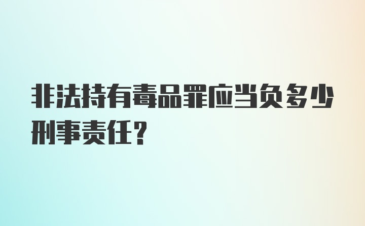 非法持有毒品罪应当负多少刑事责任?