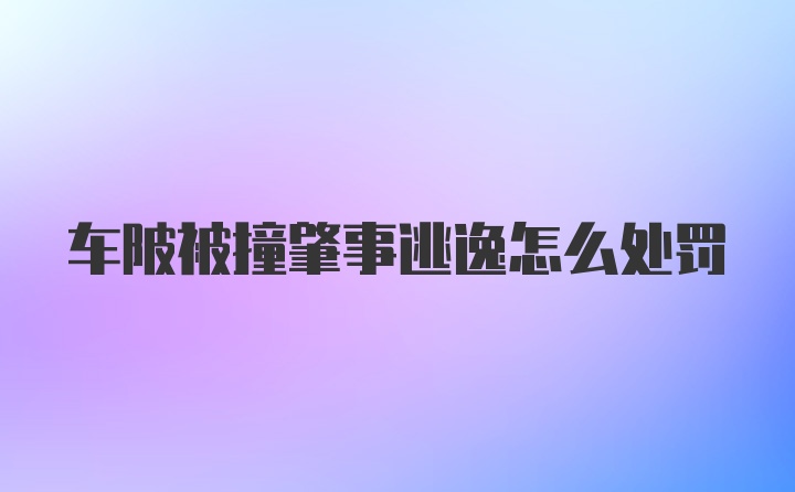 车陂被撞肇事逃逸怎么处罚