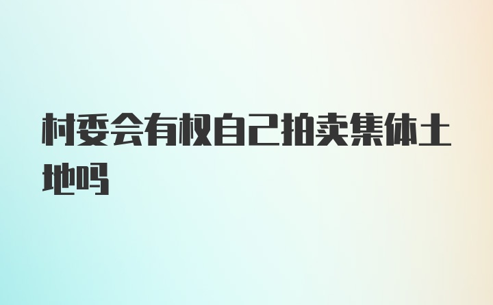 村委会有权自己拍卖集体土地吗