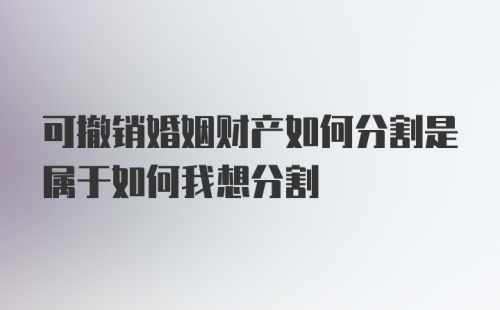 可撤销婚姻财产如何分割是属于如何我想分割