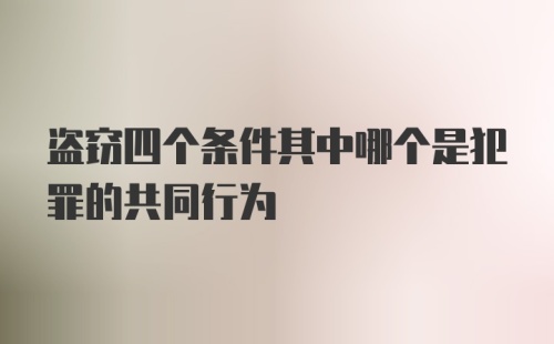 盗窃四个条件其中哪个是犯罪的共同行为