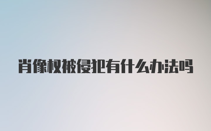 肖像权被侵犯有什么办法吗