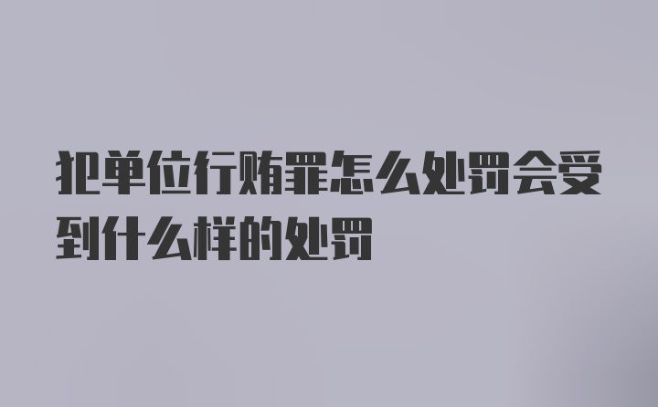 犯单位行贿罪怎么处罚会受到什么样的处罚